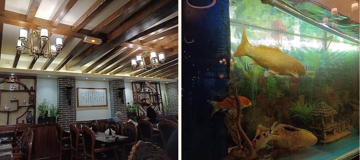 Chang - Gallery Image 1